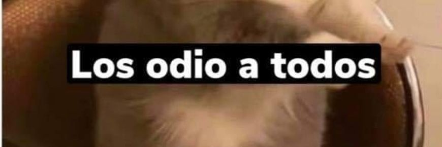 D_Impaciente's profile banner image