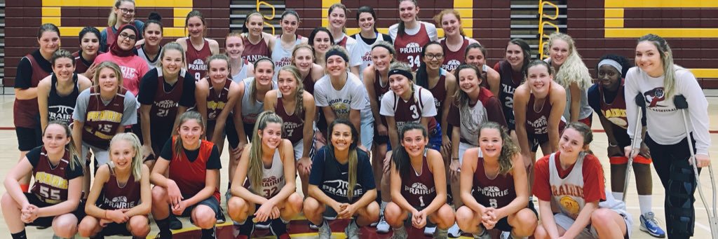 PHSLadyFalconsbball banner