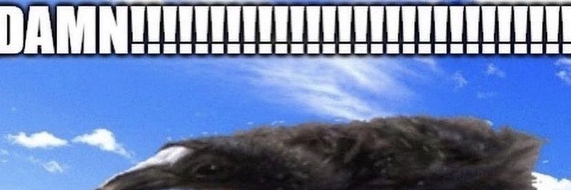 Learning_Ruskiy's profile banner image