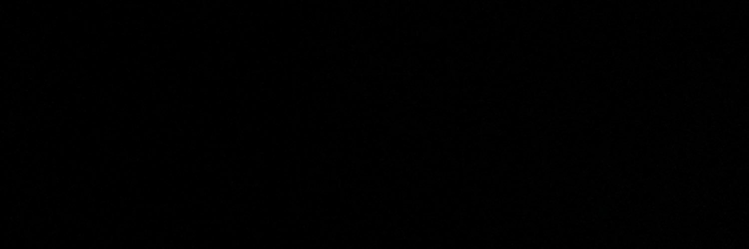 STONEYSTAllONEE's profile banner image