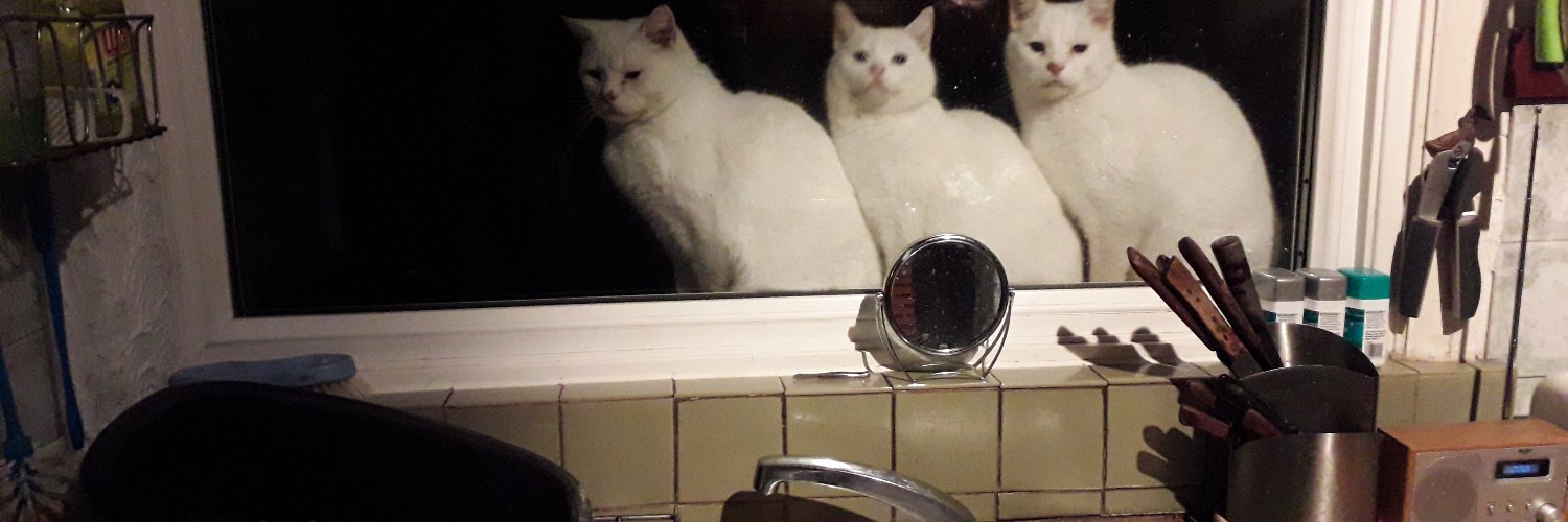 steve williams 🏳️‍🌈🇪🇺🏴󠁧󠁢󠁷󠁬󠁳󠁿🇺🇦 banner