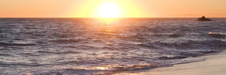ChristopherRibo's profile banner image