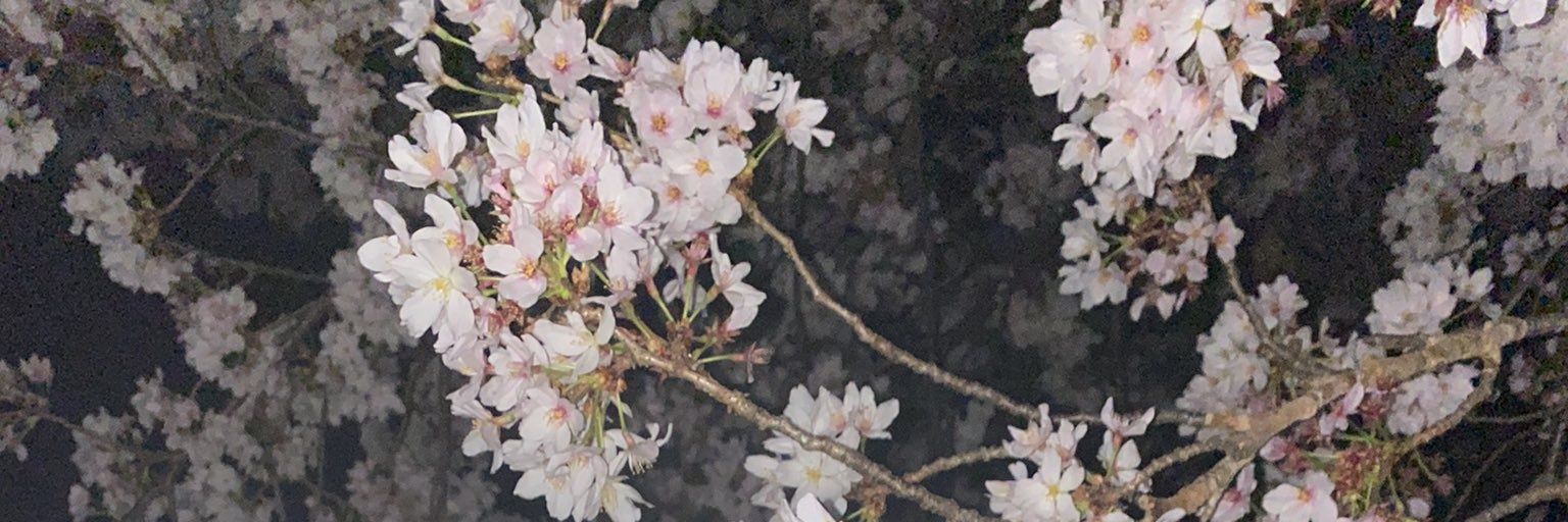 ramadan_h1's profile banner image