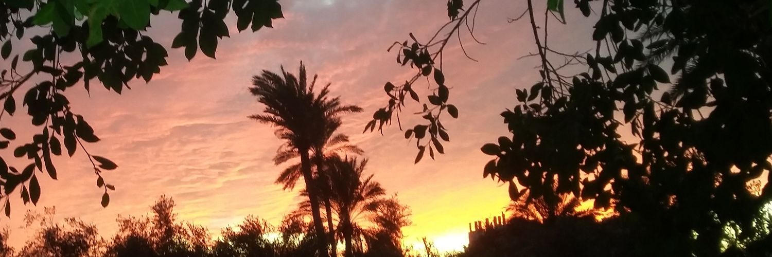 Gaza_192's profile banner image