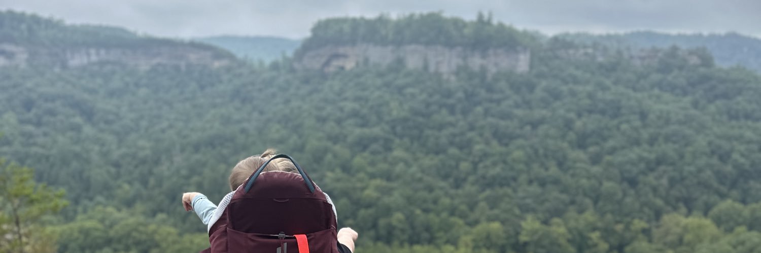 mebrantley2's profile banner image