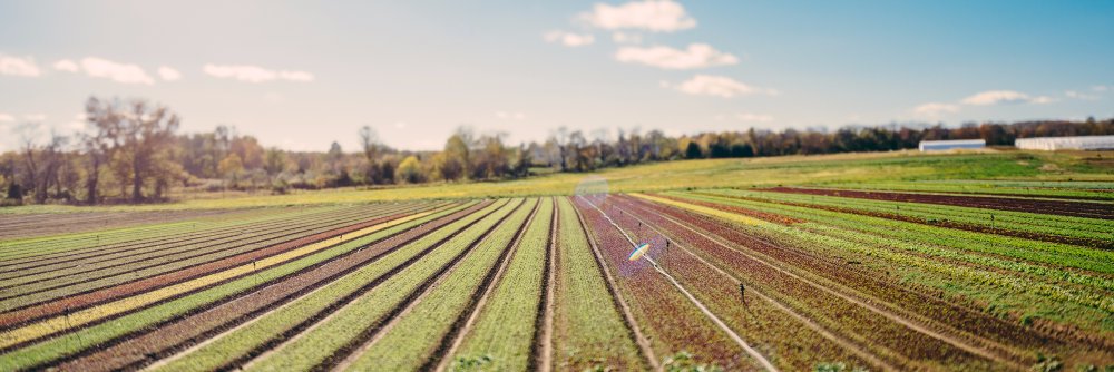 FairFoodPhilly's profile banner image