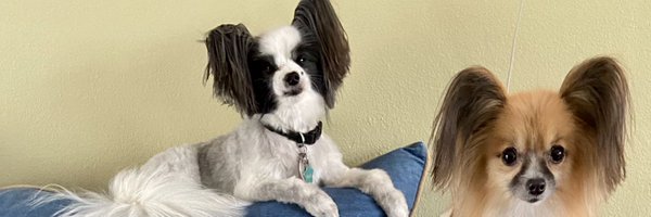 EmmaJoy53 Profile Banner