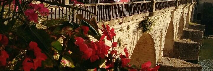 SignSpeakerTranslat banner