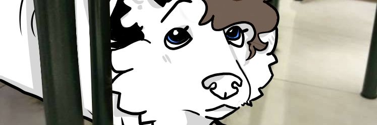 Seven the Malamute banner