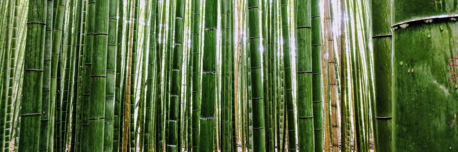 dr. jessica h. lu 🇻🇳 banner