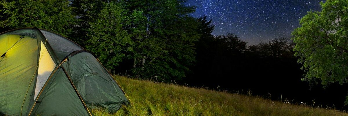 Pitched Perfect  🎪 banner