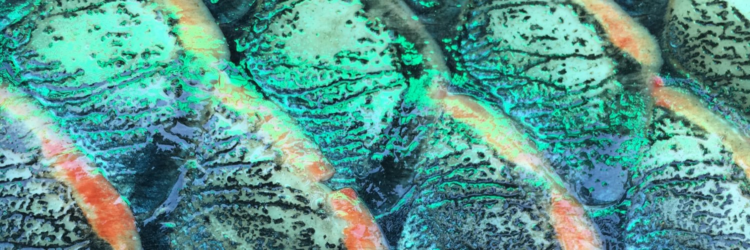 Nicholas Gill banner