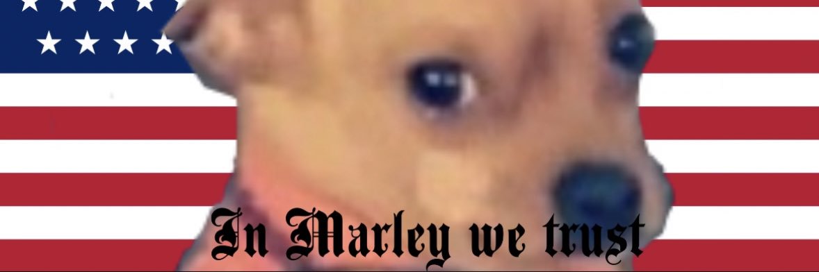 dankiedank's profile banner image