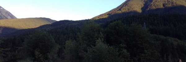 mollysd1 Profile Banner