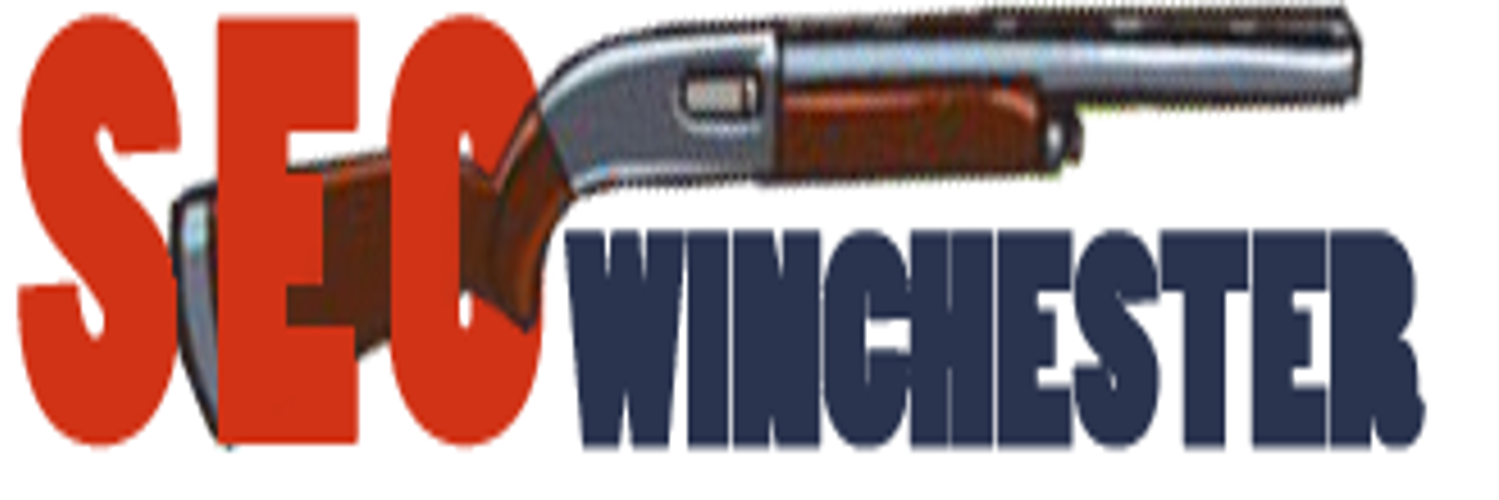 seowinchester's profile banner image