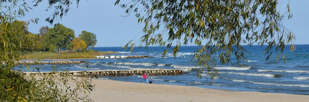 Sen. Devin LeMahieu banner