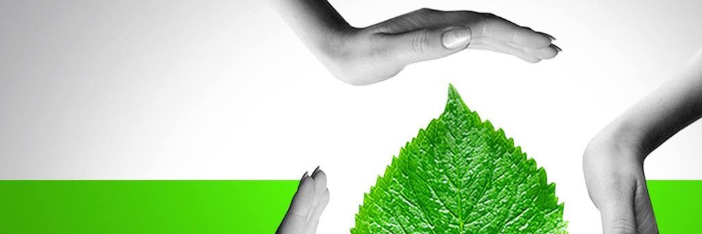 FairTradeFZE's profile banner image