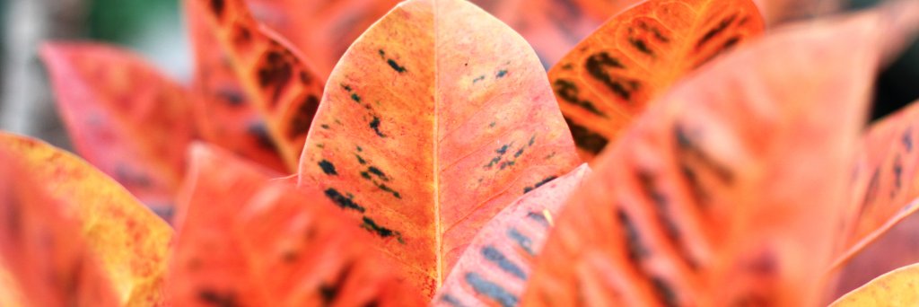 KastleHPhoto's profile banner image