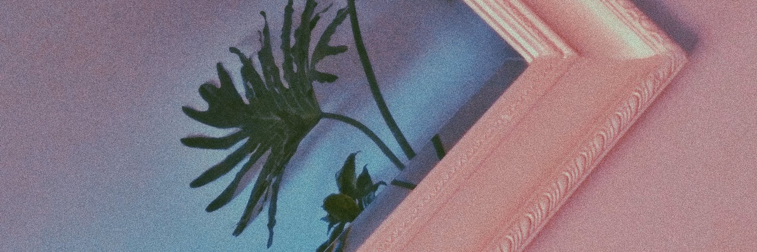 SolRevertter's profile banner image