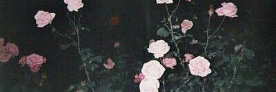 ______nkr's profile banner image