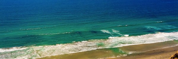 AndersenLabTSRI Profile Banner