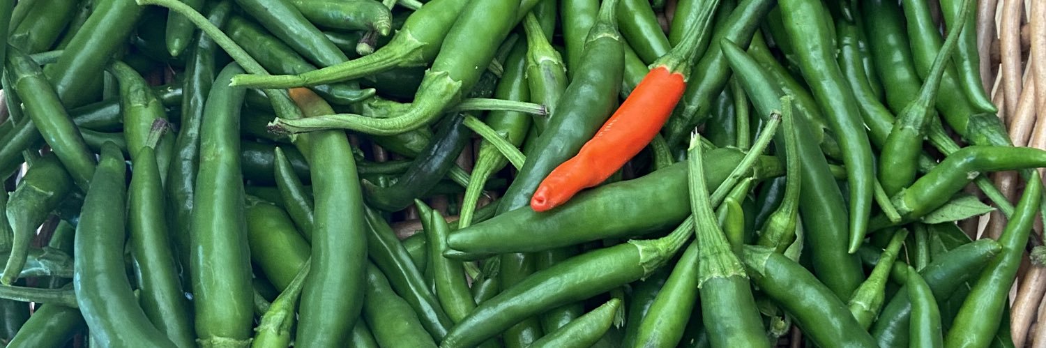 Sally Howells-Wyllie banner