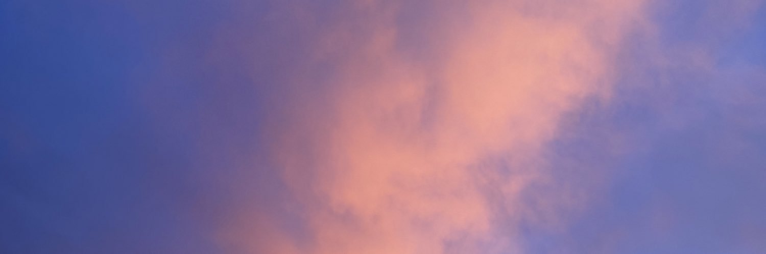 SRG🦩. banner