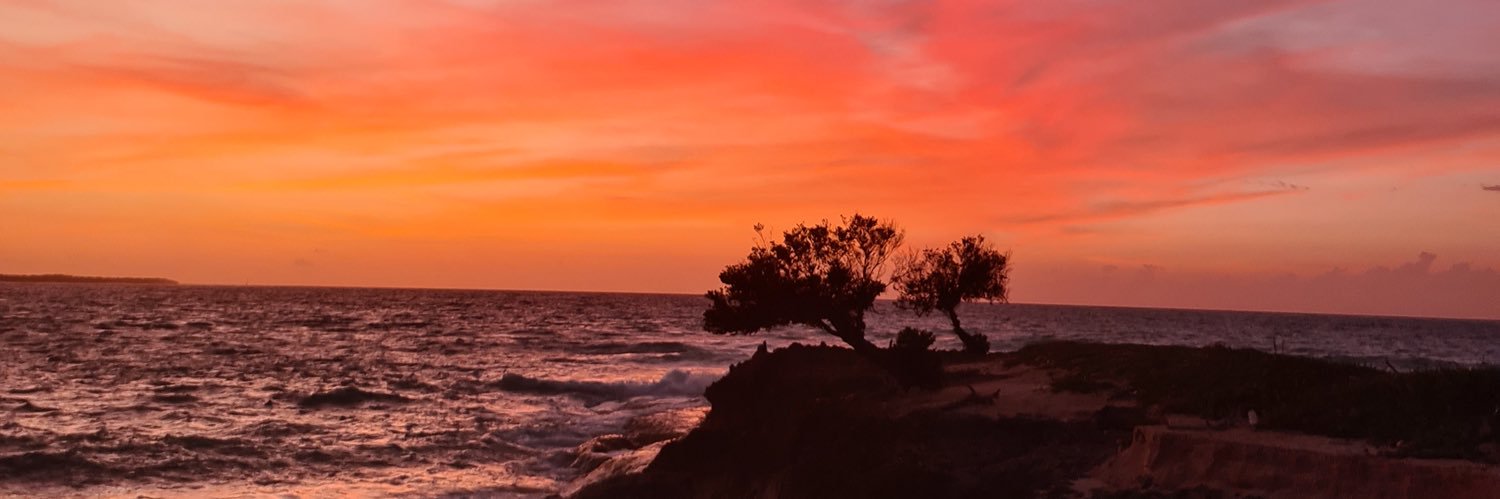 antosaragih's profile banner image