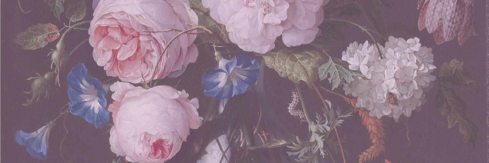 _tled's profile banner image