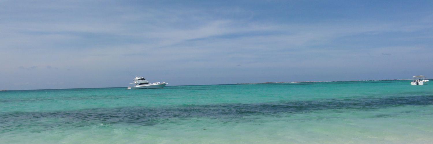 soytialili's profile banner image