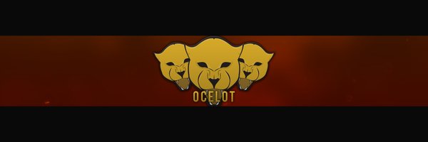 OceloteSports Profile Banner