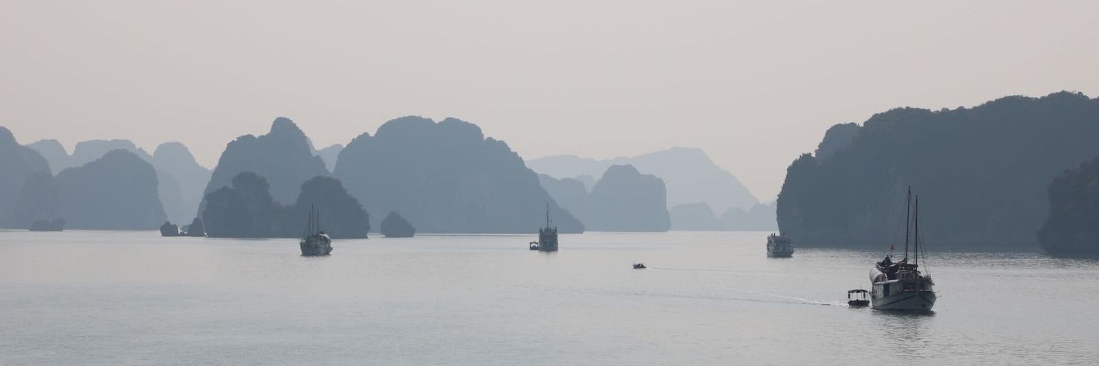 Virginia Iorio banner