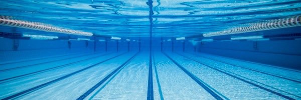 FatherJudgeSwim Profile Banner