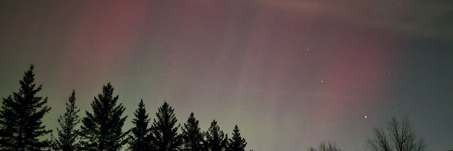 prettyladybug77's profile banner image