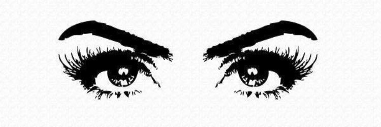 Vixen3DBrows's profile banner image