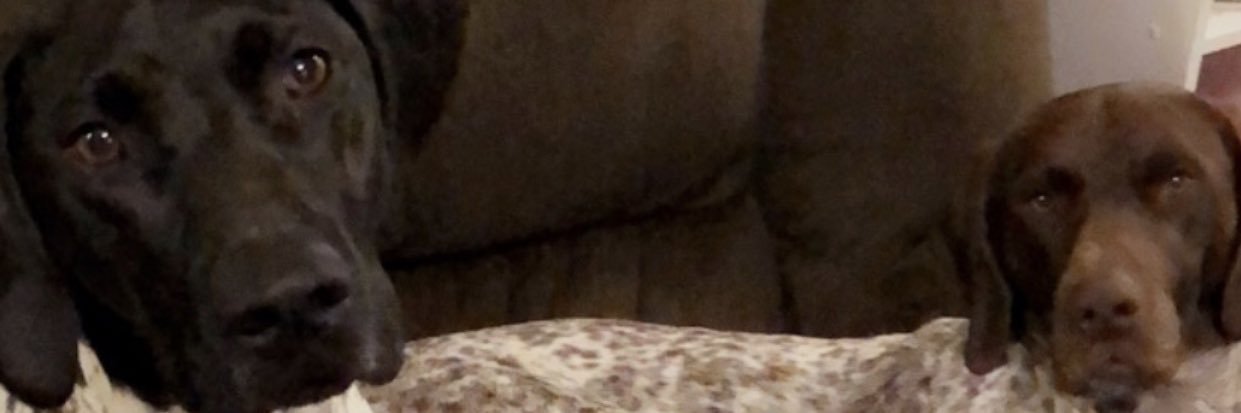 ChanceDaniel2's profile banner image