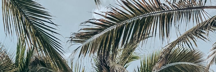 Taylorenz's profile banner image