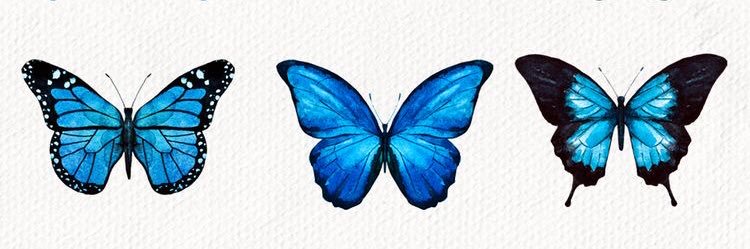 NikkiRevers's profile banner image