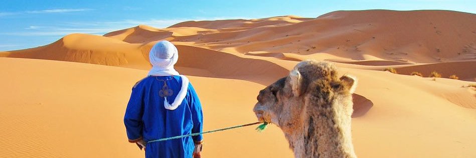 mohamedhalty's profile banner image