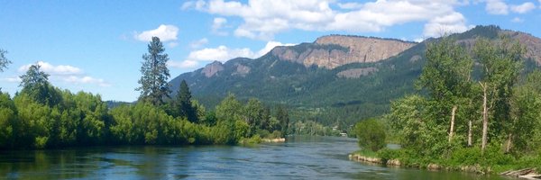 ALFortune1 Profile Banner