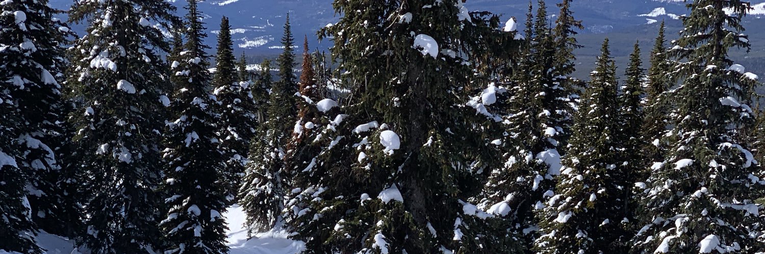 Deep Powder Experience banner