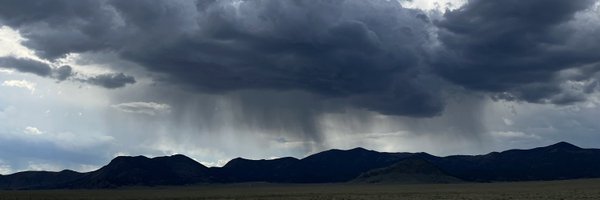 SandraD2429 Profile Banner