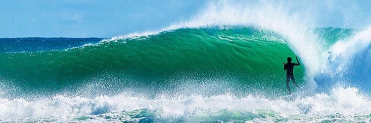 cryptosurfing56's profile banner image