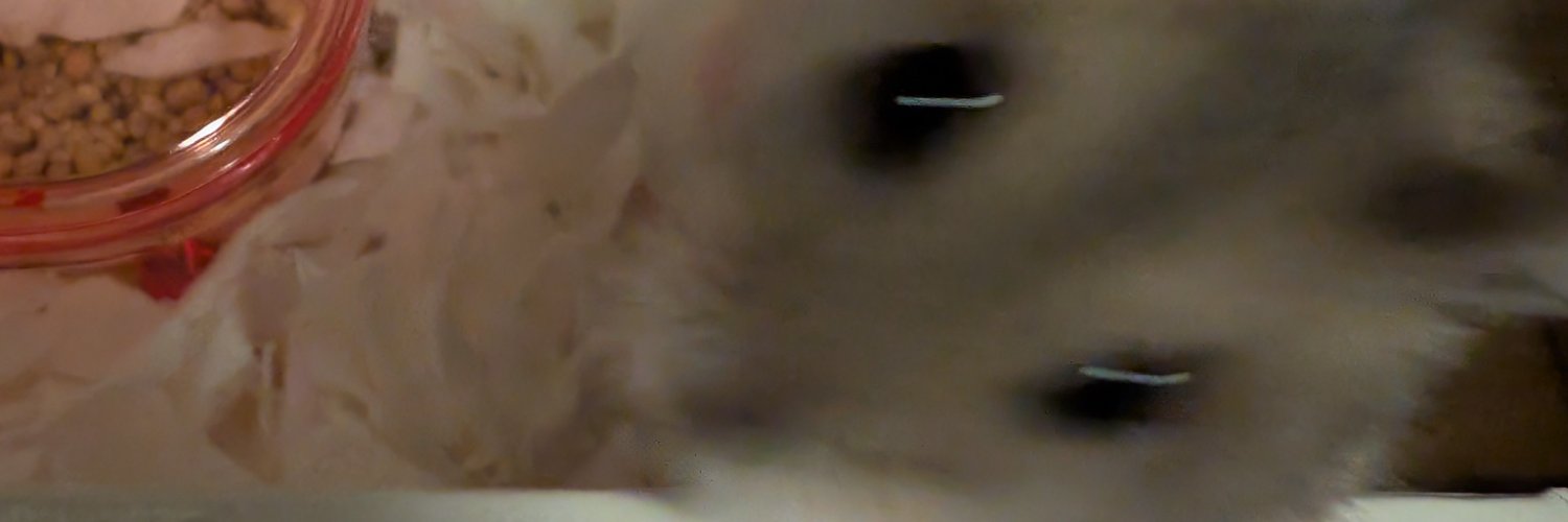 kabakoi3's profile banner image