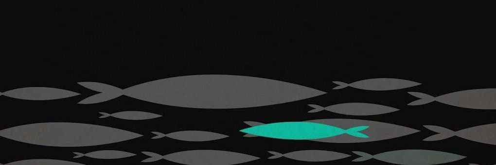 Schadinha's profile banner image
