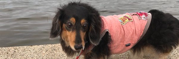 C116Y Profile Banner