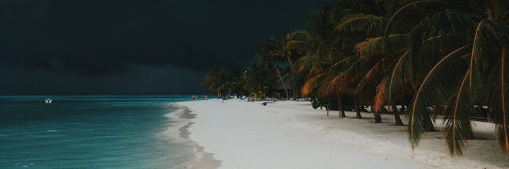 ReRe_Jackson's profile banner image