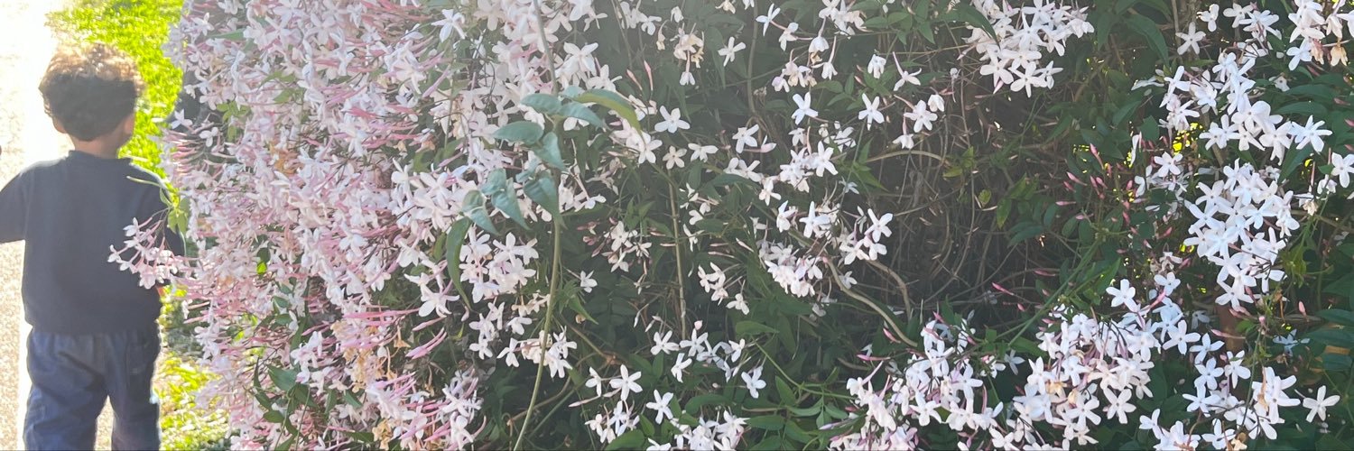 monikeMoonBlanc's profile banner image