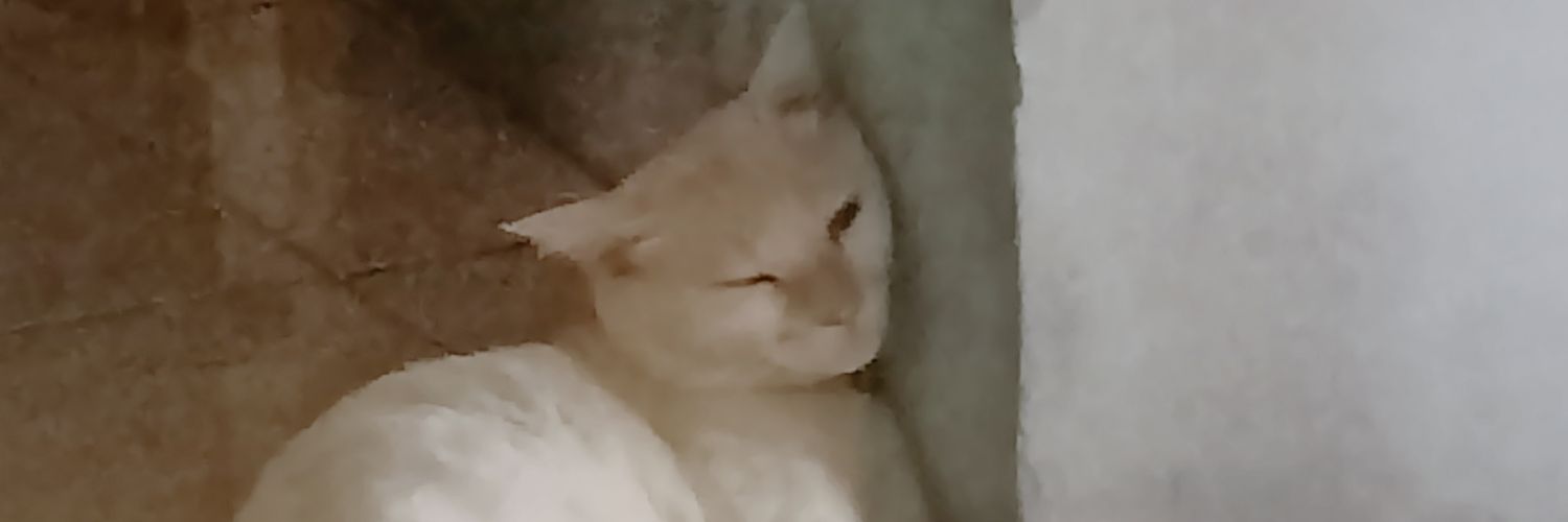gatau banner