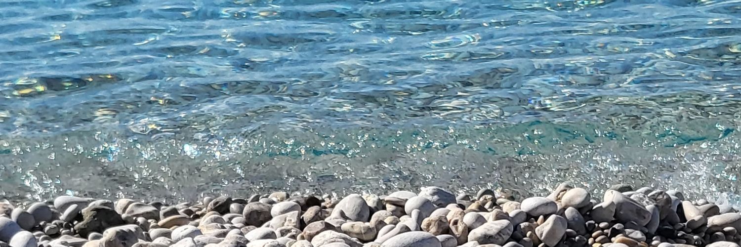 nilgunnbasarann's profile banner image